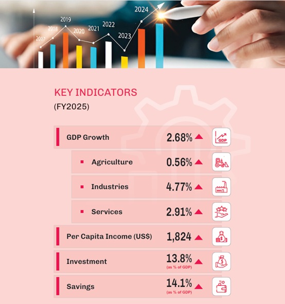 Pakistan's Economic Survey 2024-25