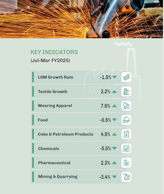 Pakistan's Economic Survey 2024-25