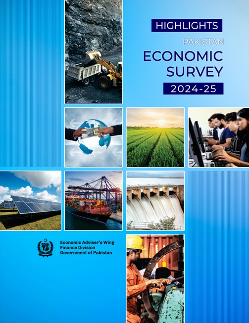 Pakistan's Economic Survey 2024–25