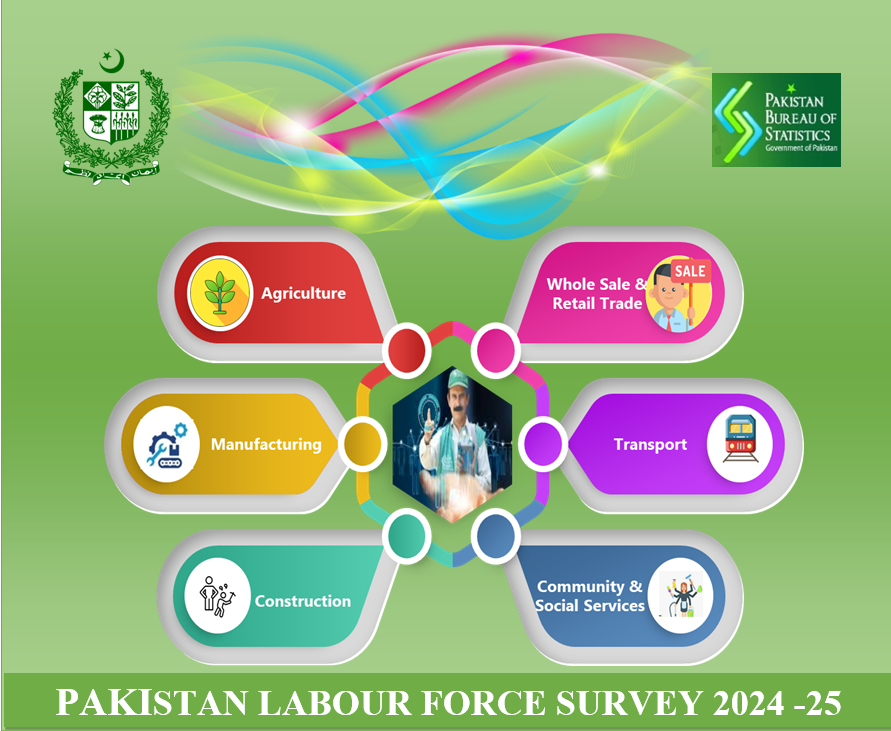 Labour Force Survey 2024-25